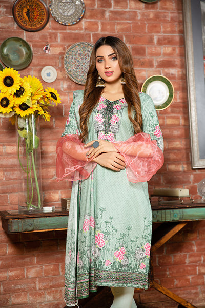 Naqshi Cotton Collection 5006-C